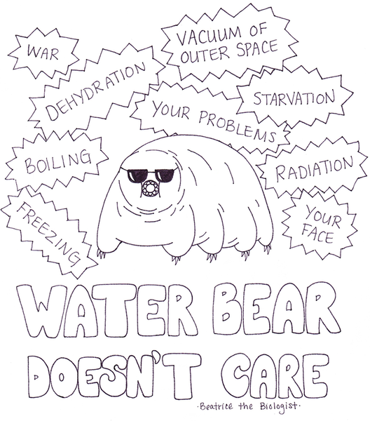 Water bear doesn’t care